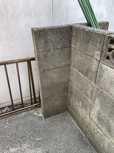 1691045571485.jpg