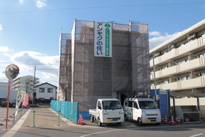 IMG_2656.JPG
