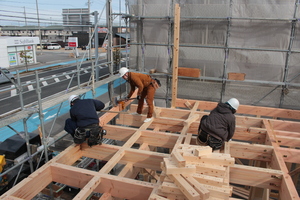 IMG_2728.JPG