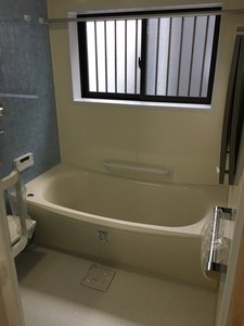 IMG_7282.jpg