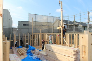 IMG_7648.JPG