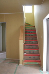 IMG_8755.JPG