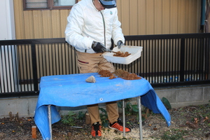 IMG_9784.JPG