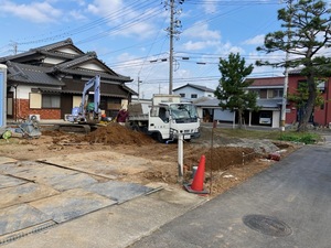 IMG_9908.jpg